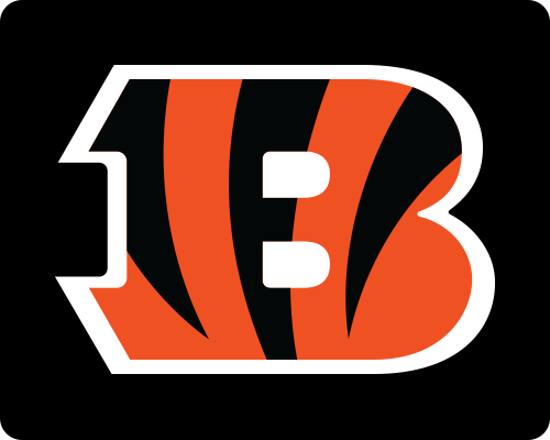 Bold orange capital letter “B” with black tiger stripes, on a white background.